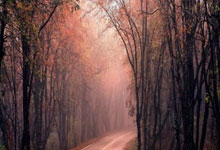 Fintech 2025: The Breakthroughs in Innovation, Security, and User Experience You Can't Miss